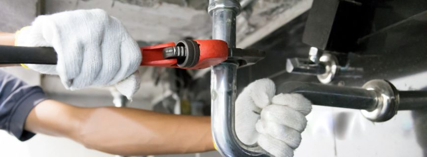 wmremove-transformed (28)